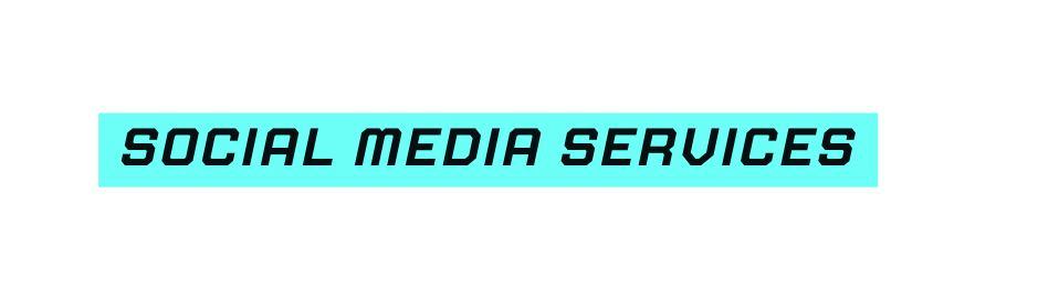 social media services